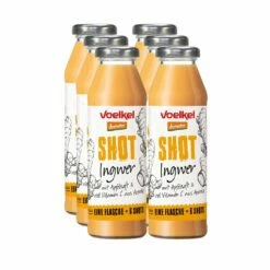 Bio Shot Ingwer Demeter, Ganzer Karton 6 Stück